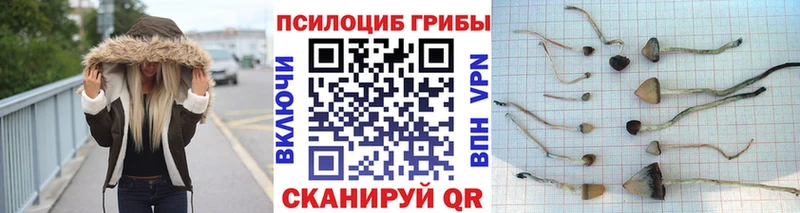 Псилоцибиновые грибы GOLDEN TEACHER МЕГА рабочий сайт Иваново продажа наркотиков