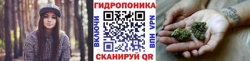 купить наркотики цена  Иваново  Конопля сатива 
